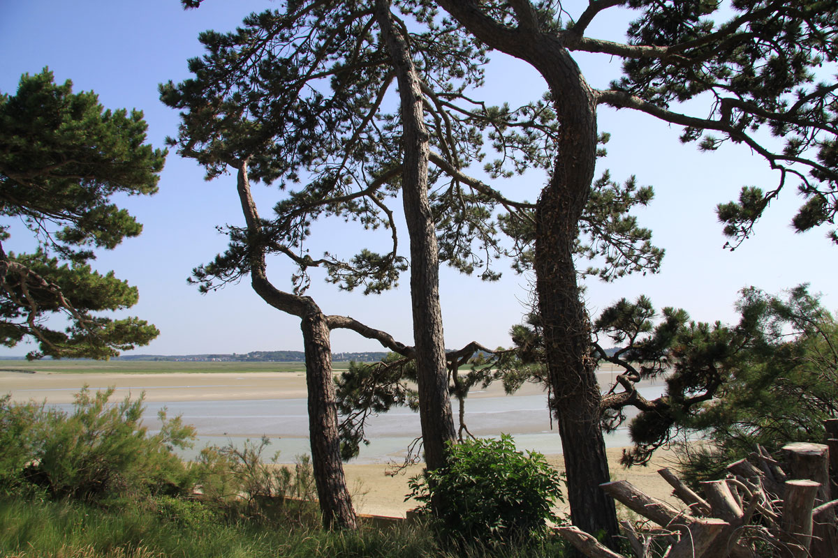 2025_LE-CROTOY-(47)